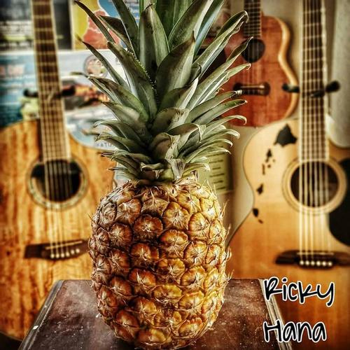 Pineapple cover