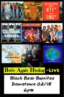 The Born Again Hindus photo