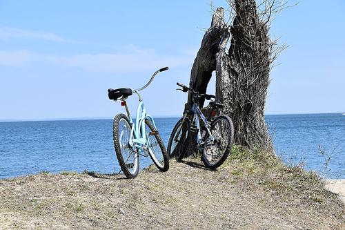 Profile photo BEACH_BIKES.JPG