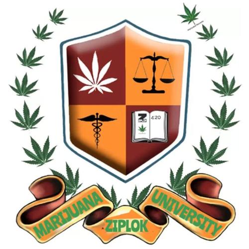 Marijuana University cover