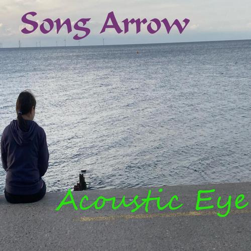Acoustic Eye cover