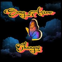 Song Arrow photo