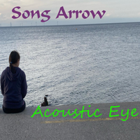 Song Arrow photo