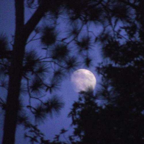 HUNTER'S MOON cover