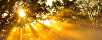 Nashe Solnce photo
