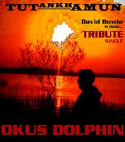 Okus Dolphin photo