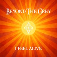 Beyond The Grey photo
