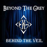 Beyond The Grey photo
