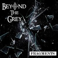 Beyond The Grey photo