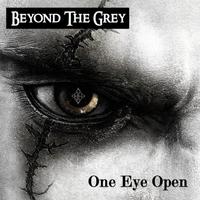 Beyond The Grey photo