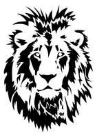 Leone photo
