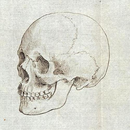 relics cover