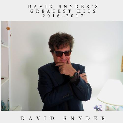 David Snyder's Greatest Hits 2016-2017 cover