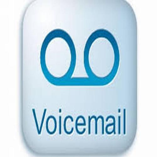 The Voicemail Mixtape(2005) cover
