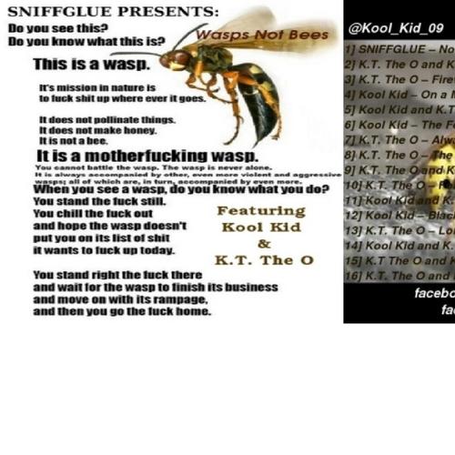 Wasps Not Bees cover
