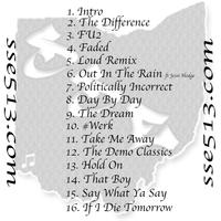 SSE513 photo