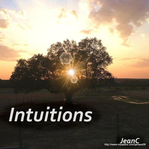 Intuitions cover