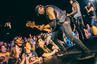 The Velcro Pygmies photo