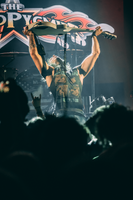 The Velcro Pygmies photo