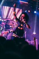 The Velcro Pygmies photo