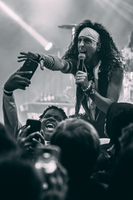 The Velcro Pygmies photo