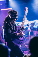 The Velcro Pygmies photo