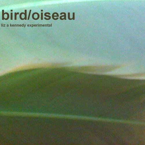 bird oiseau cover