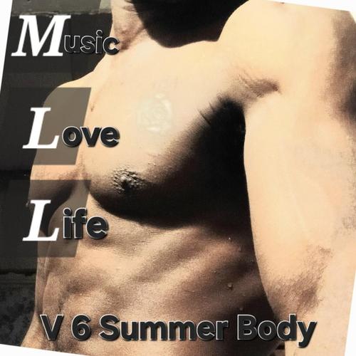 Music Love Life V6 Summer Body cover
