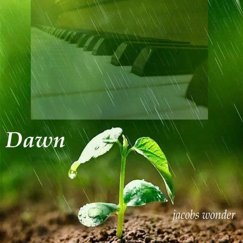 Dawn cover