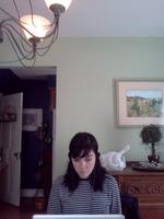 Puppet Hawk photo