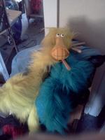 Puppet Hawk photo
