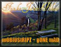 MobiusTripz photo