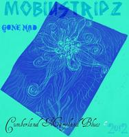 MobiusTripz photo