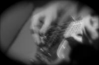 Death to the Details photo