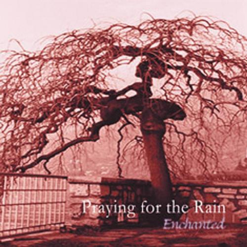 Enchanted cover