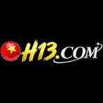 H13