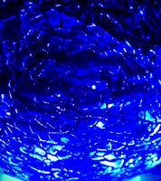 Sapphire Wolf photo