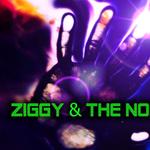 Ziggy & the Noize profile picture