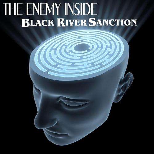 The Enemy Inside cover