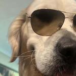 Lazer