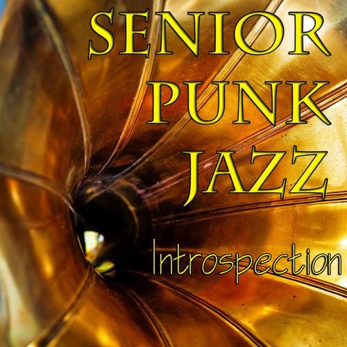 Introspection cover