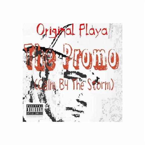 The Promo (Calm B4 the Storm)EP cover