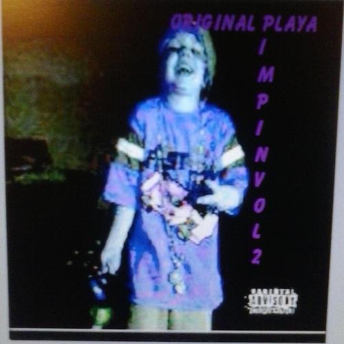 Playa Pimpin vol.2 cover