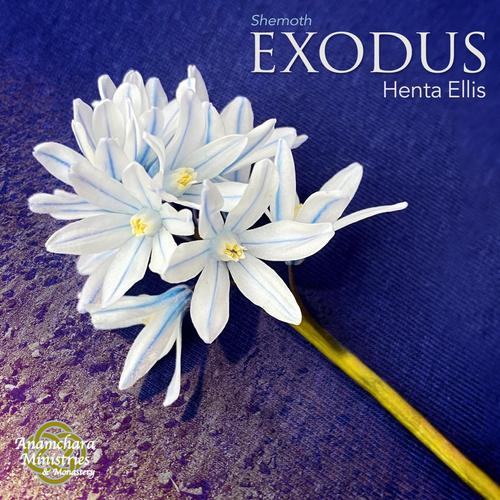 Exodus cover