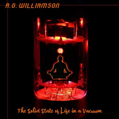 The Solid State of Life in a Vacuum cover