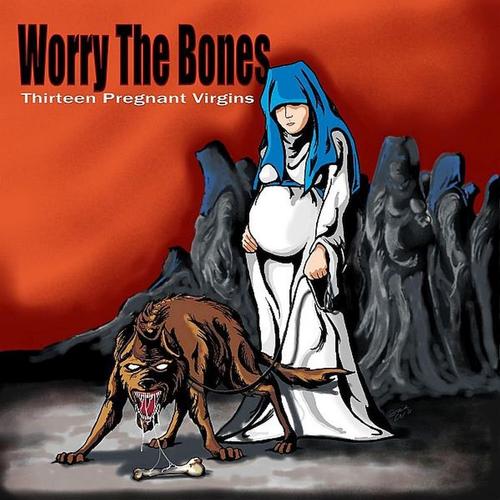 Thirteen Pregnant Virgins cover