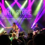 The Why Store