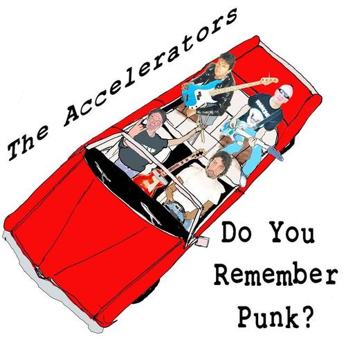 Do You Remember Punk? cover