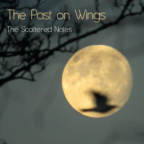 The Past on Wings cover