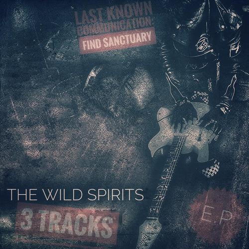 Last Known Communication: Find Sanctuary cover